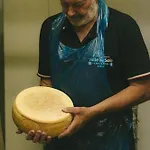 Le Di Quarantotti *