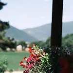 Le Di Quarantotti * ノルチャ