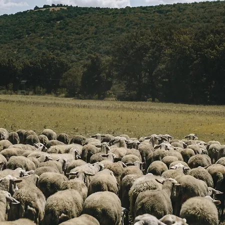 Le Di Quarantotti Appartement Norcia