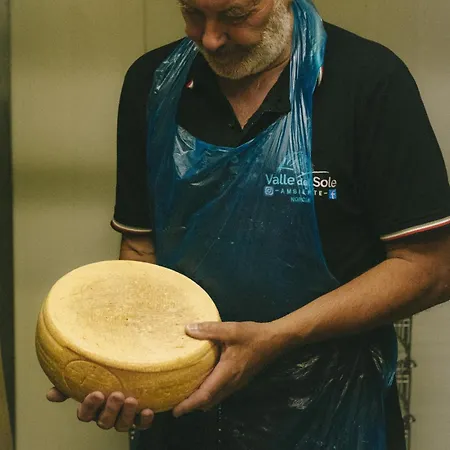Le Di Quarantotti *