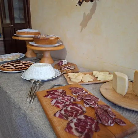 Le Di Quarantotti * ノルチャ