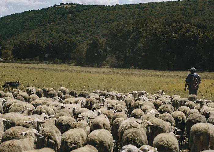 Le Di Quarantotti Lejlighed Norcia