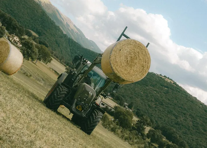 Le Di Quarantotti Lejlighed